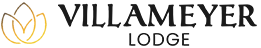 Your logo